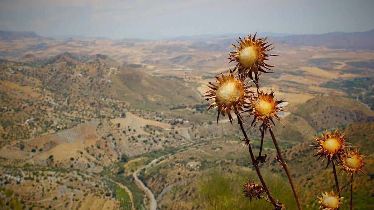 Konut ve çevre detayları