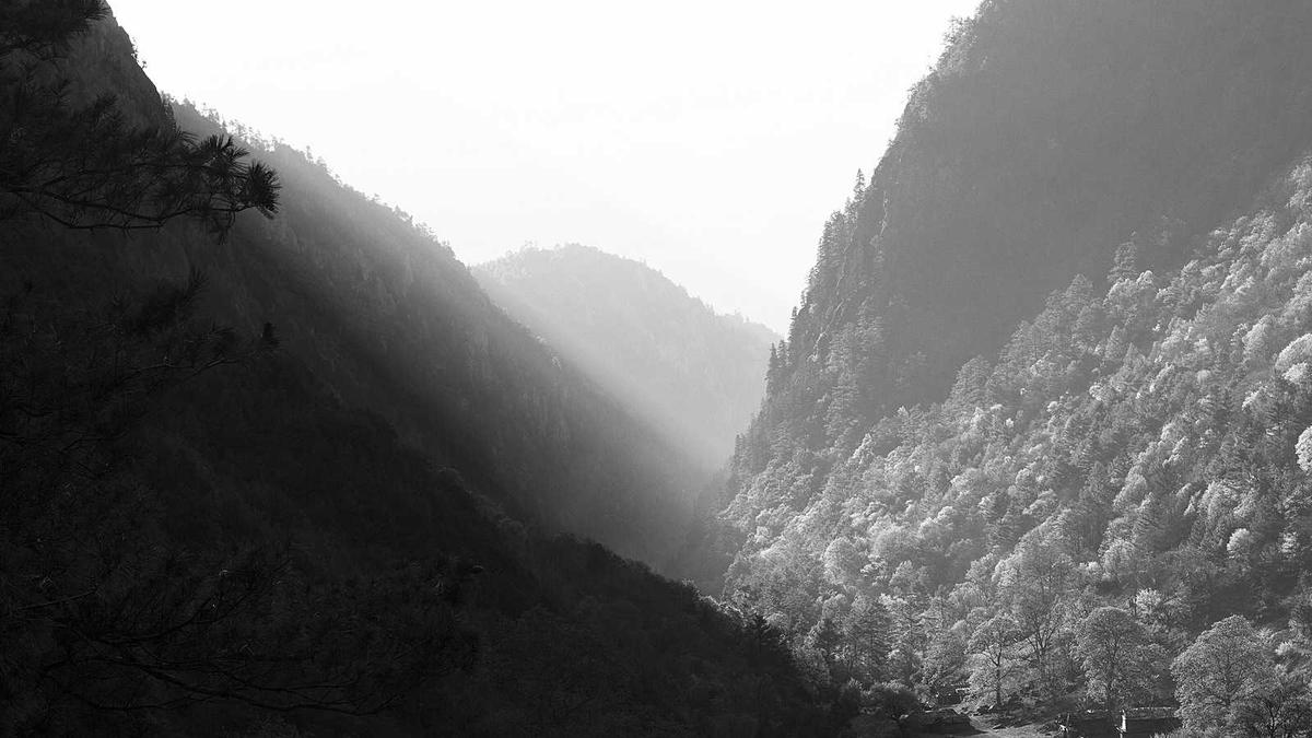 Konut ve çevre detayları