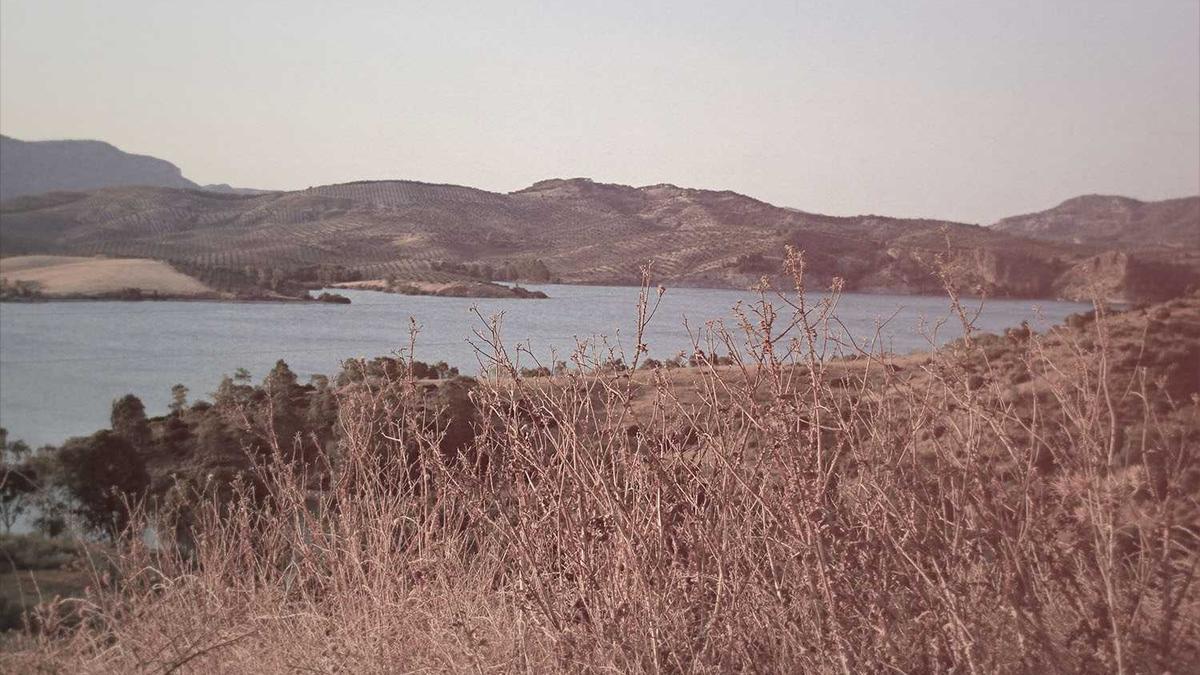 Villa ve müstakil yaşam