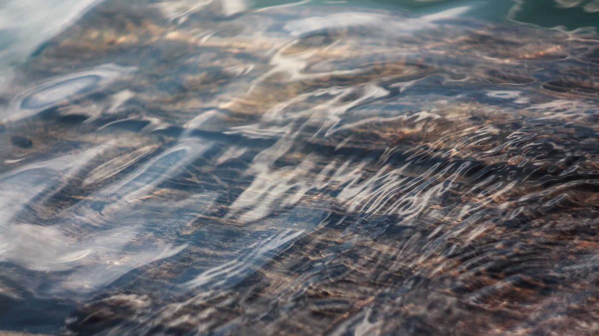 Konut ve çevre detayları