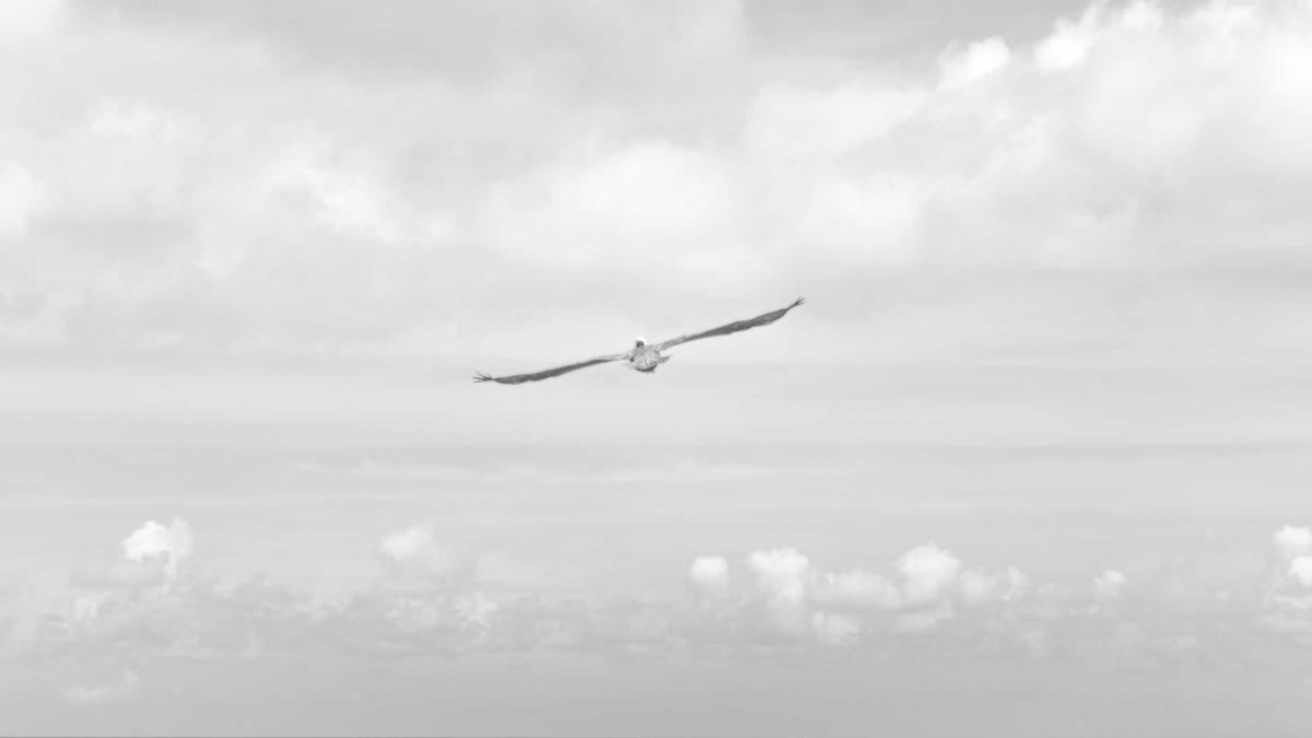 Villa ve müstakil yaşam