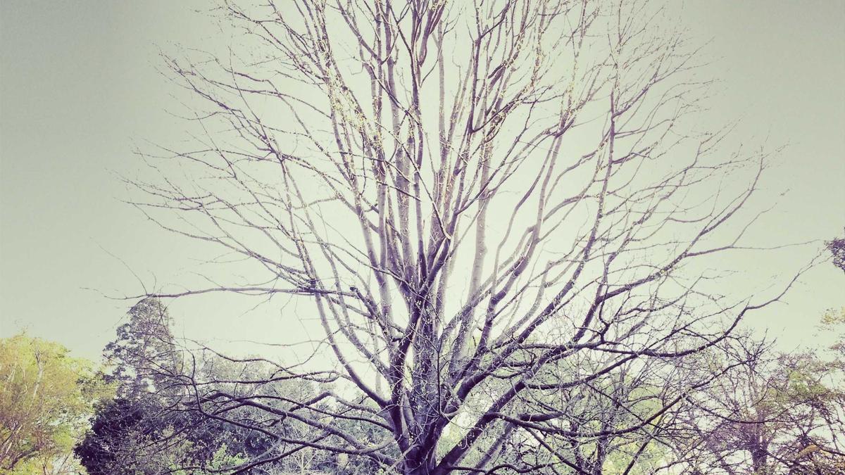 Daire ve modern konut yaşamı